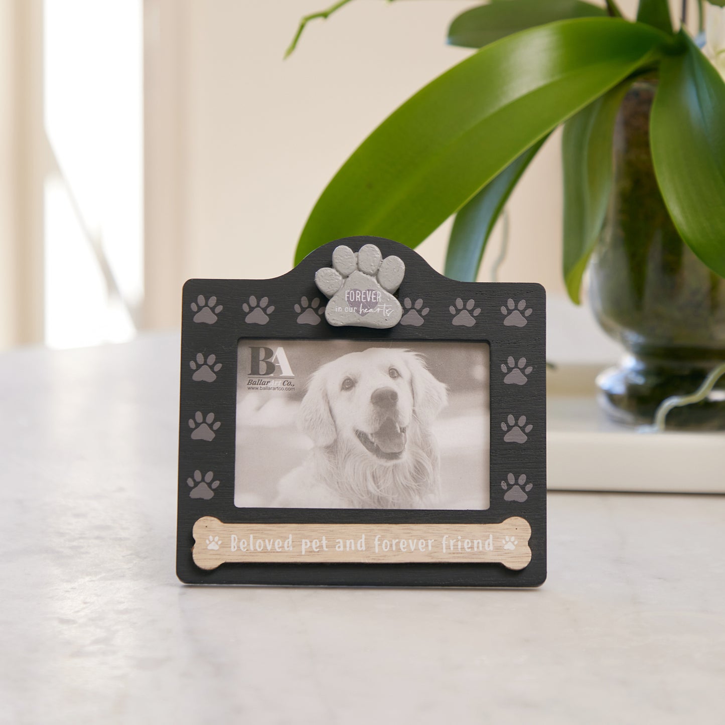 Black wooden pet memorial picture frame, dog memorial photo frame designed to honor the memory of beloved pets, a heartfelt keepsake for displaying cherished photos. 3
