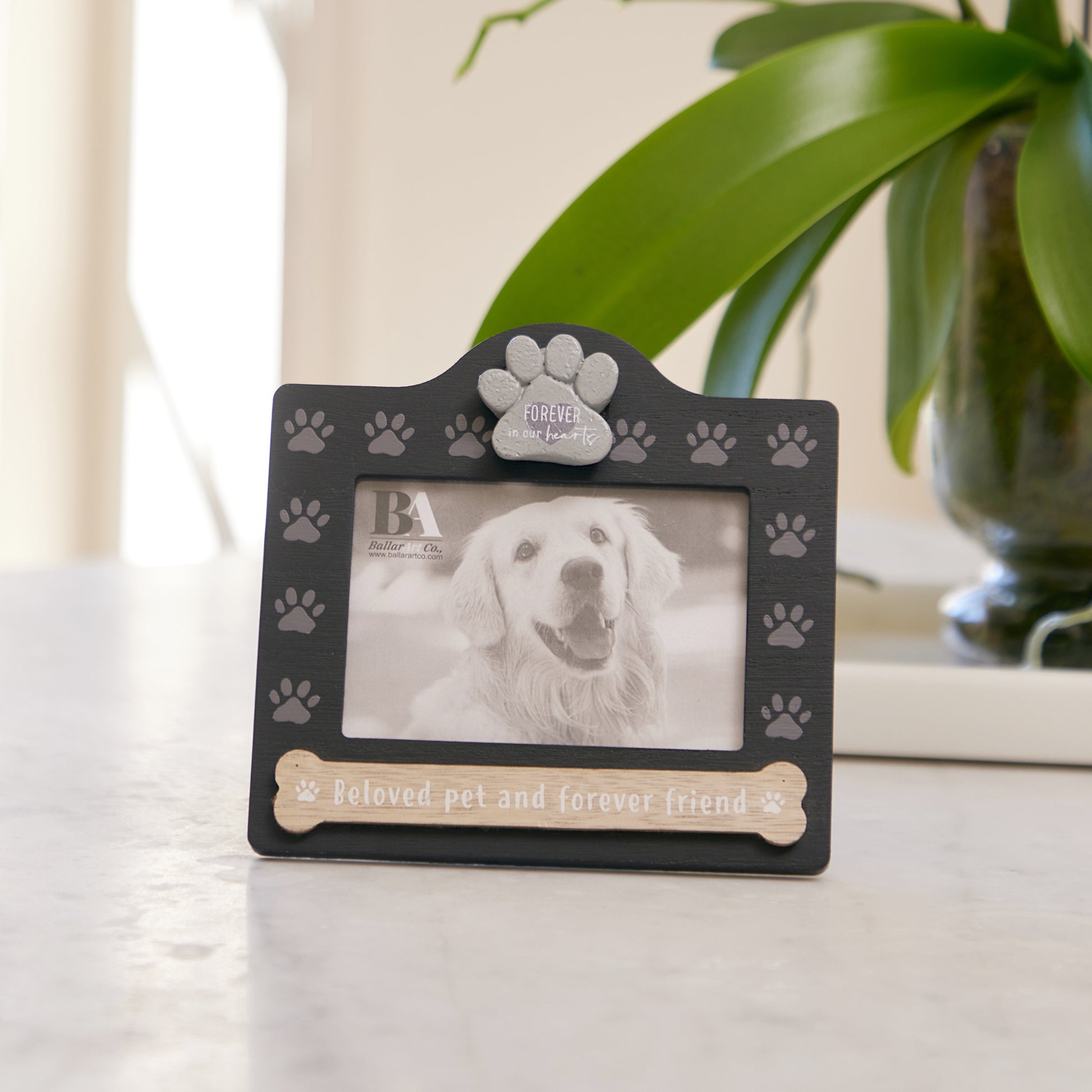 Black wooden pet memorial picture frame, dog memorial photo frame designed to honor the memory of beloved pets, a heartfelt keepsake for displaying cherished photos. 4
