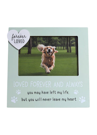 Beautiful green pet memorial picture frame for honoring lost pets, featuring a 4x6 inch photo slot for cherished memories of your dog or cat. Perfect sympathy gift for pet lovers, this dog cat memorial frame makes a heartfelt remembrance gift for those grieving a pet loss. 1