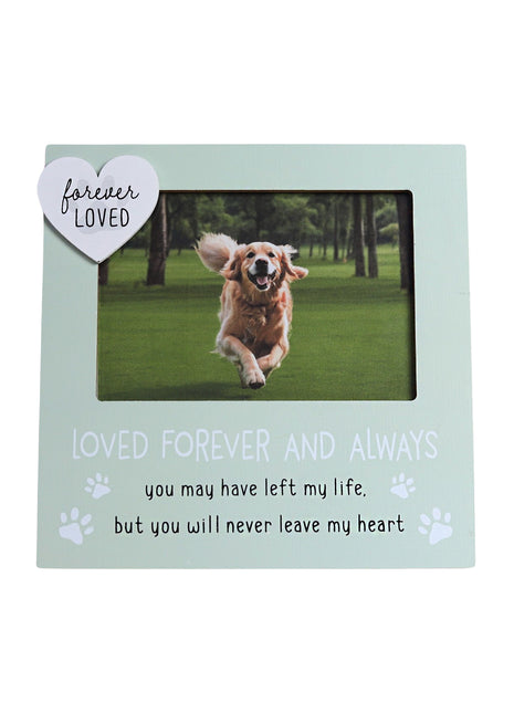 Beautiful green pet memorial picture frame for honoring lost pets, featuring a 4x6 inch photo slot for cherished memories of your dog or cat. Perfect sympathy gift for pet lovers, this dog cat memorial frame makes a heartfelt remembrance gift for those grieving a pet loss. 1