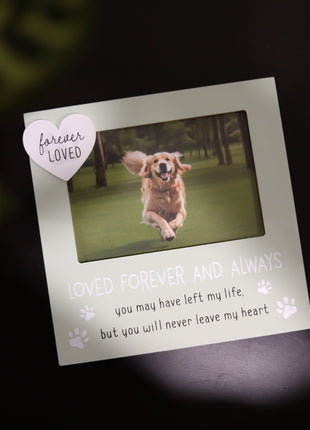Beautiful green pet memorial picture frame for honoring lost pets, featuring a 4x6 inch photo slot for cherished memories of your dog or cat. Perfect sympathy gift for pet lovers, this dog cat memorial frame makes a heartfelt remembrance gift for those grieving a pet loss. 3