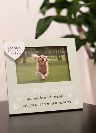 Beautiful green pet memorial picture frame for honoring lost pets, featuring a 4x6 inch photo slot for cherished memories of your dog or cat. Perfect sympathy gift for pet lovers, this dog cat memorial frame makes a heartfelt remembrance gift for those grieving a pet loss. 4